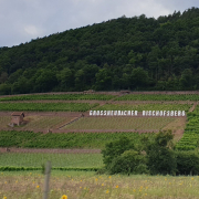 Großheubacher Bischofsberg