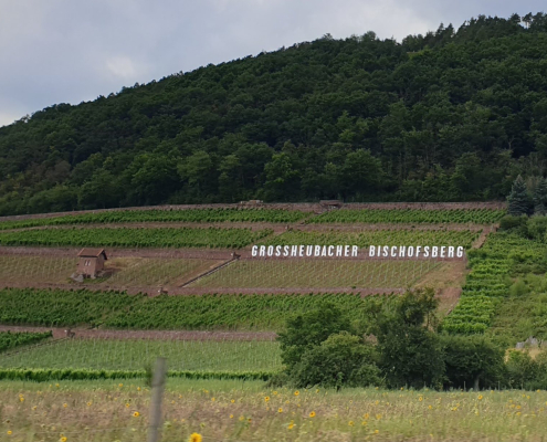 Großheubacher Bischofsberg