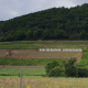 Großheubacher Bischofsberg